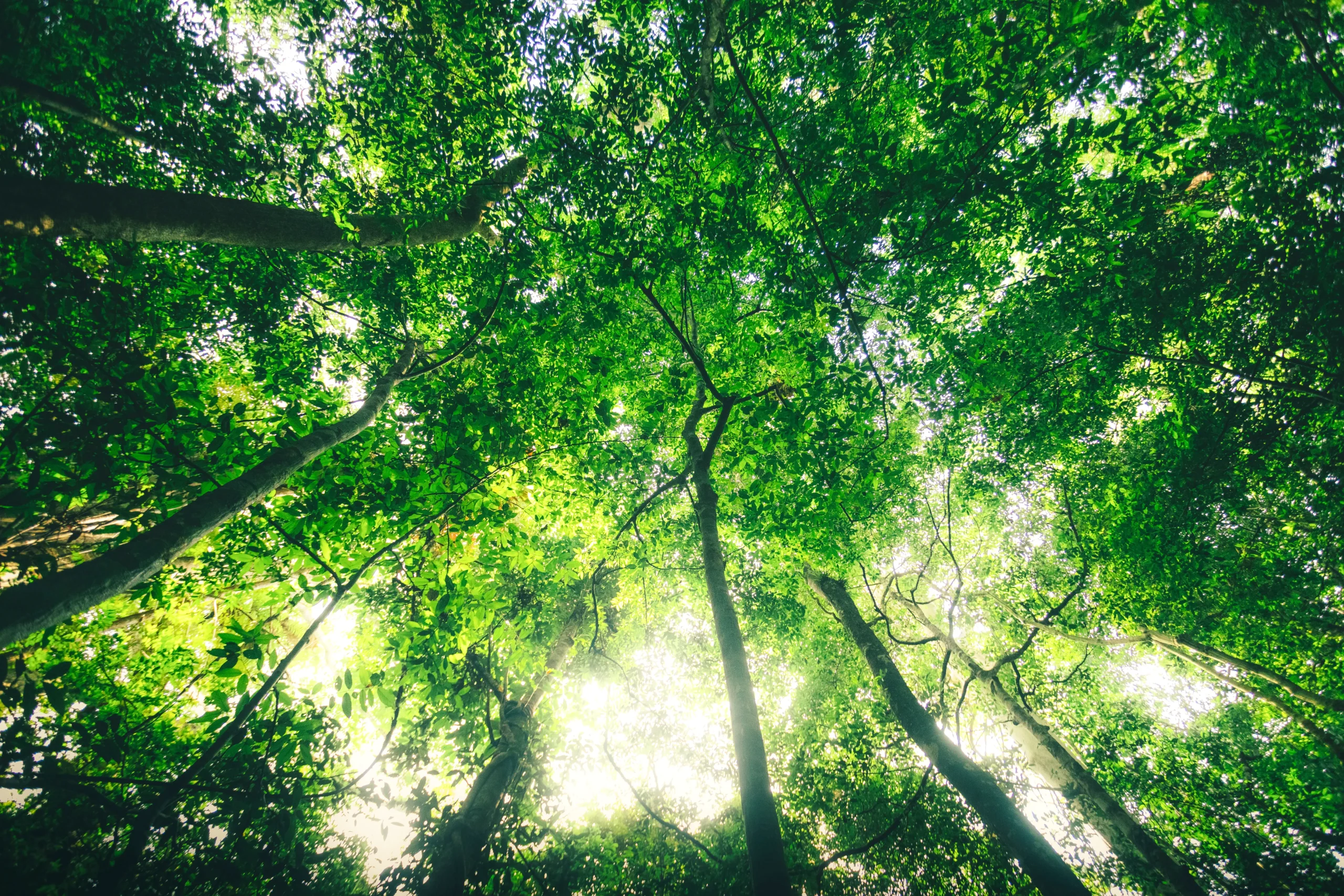 Sustainable Manufacturing. Certified Materials.
